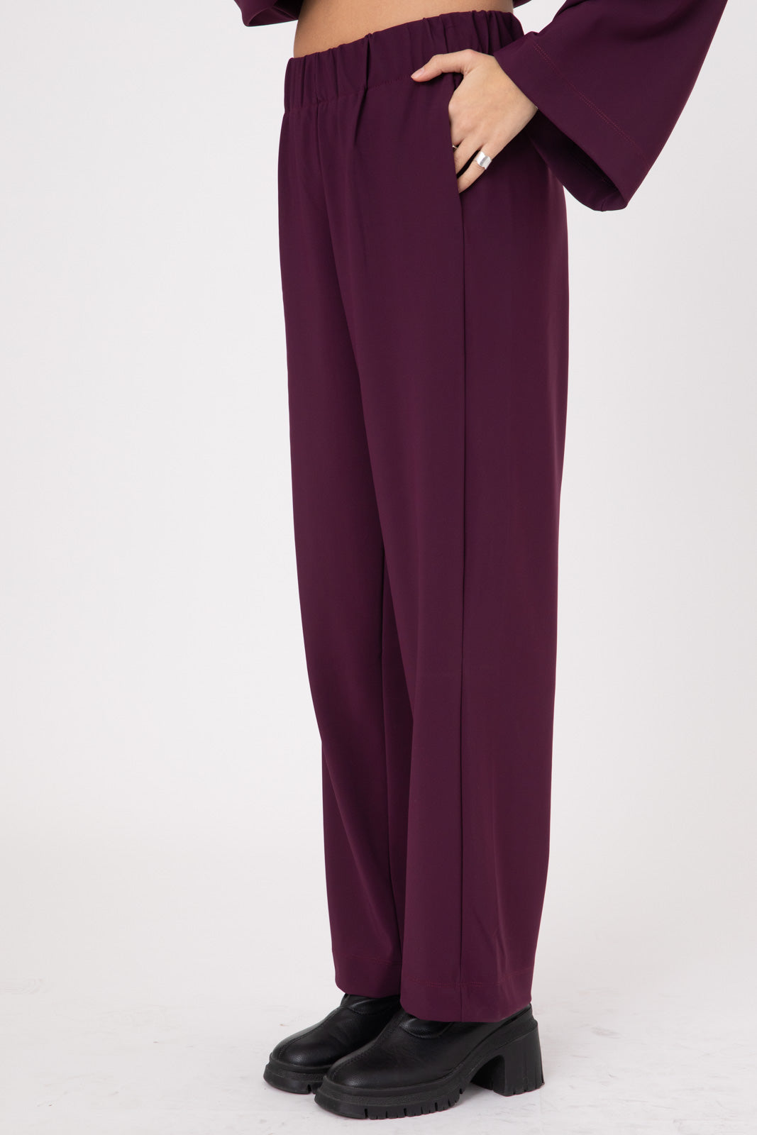 Purple Eggplant Double layer Lycra Straight fit pants